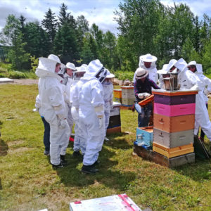 Introductory Beekeeping Hands-On Course