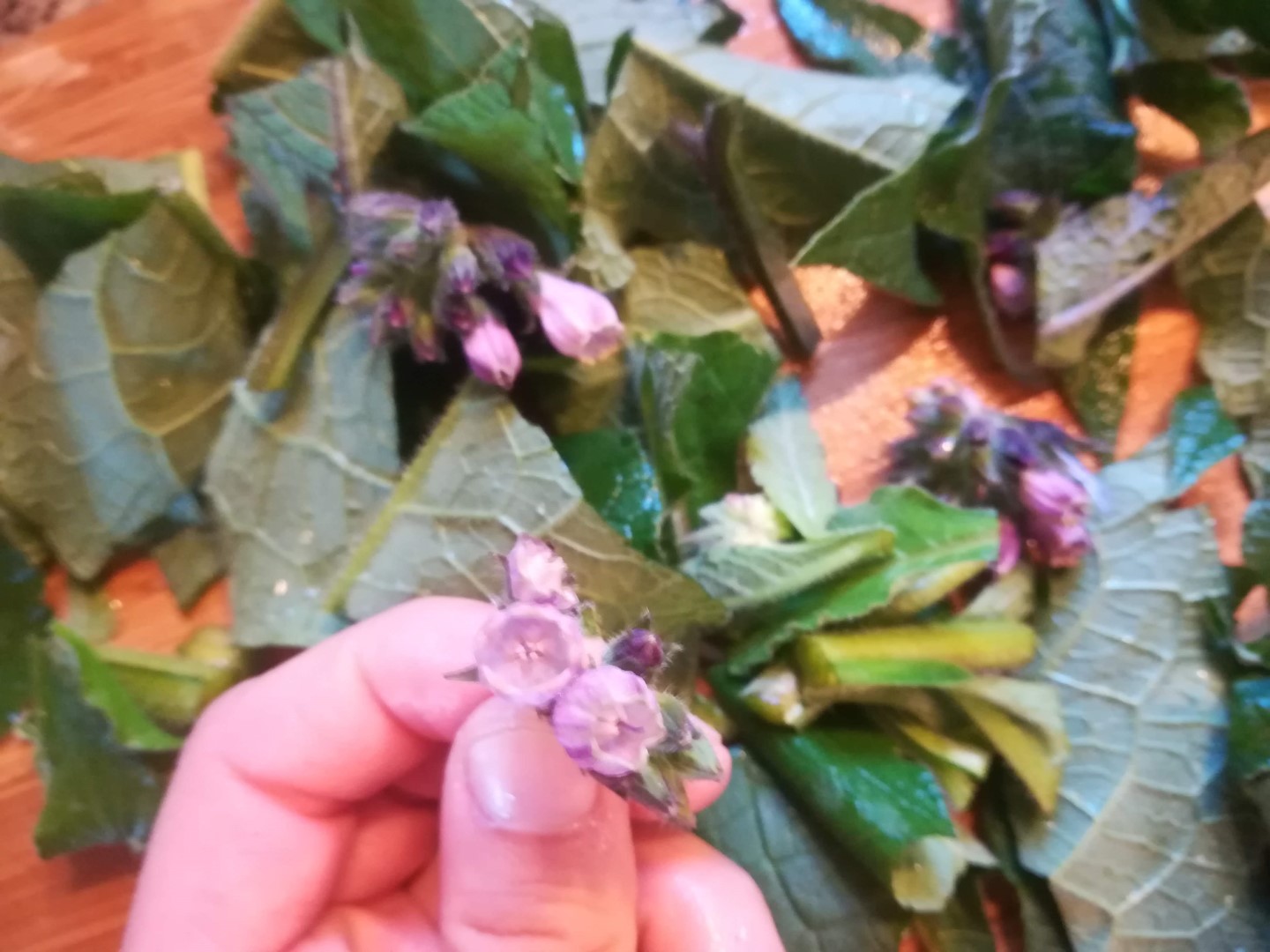 Comfrey & Propolis Hand Cream and Ointment - Image 2