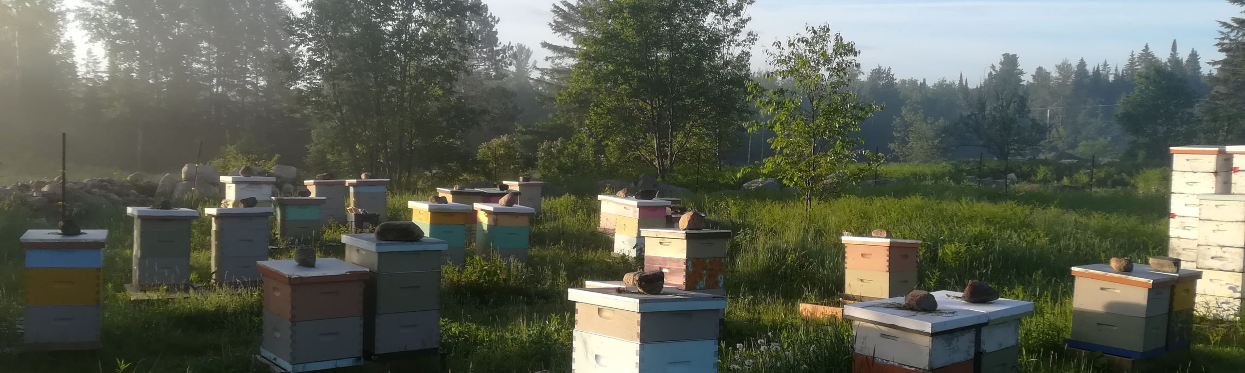 Made for you by Nature