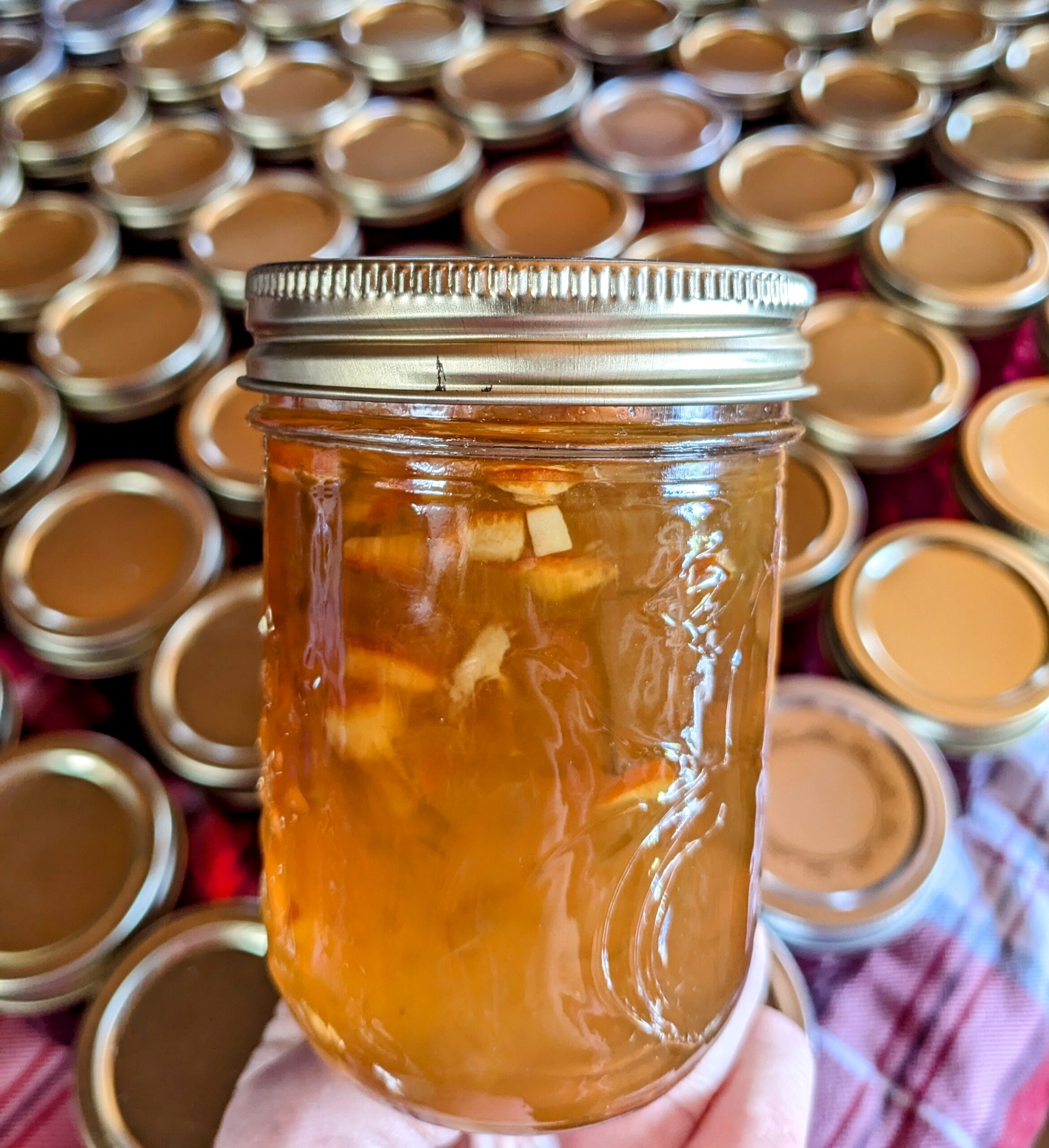 Rhubarb Orange Jam/Marmalade