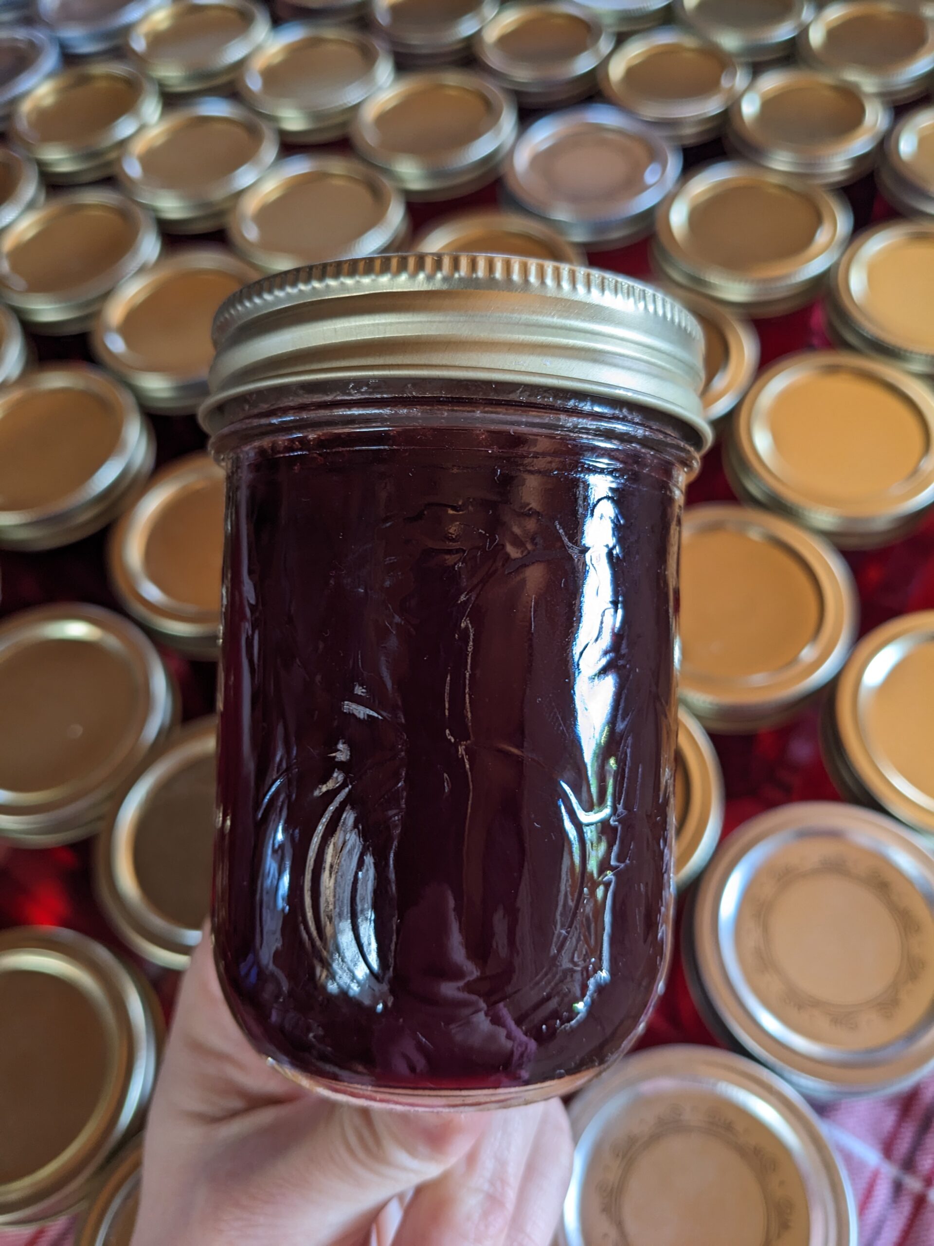 Wild Chokecherry Jelly (sold out)