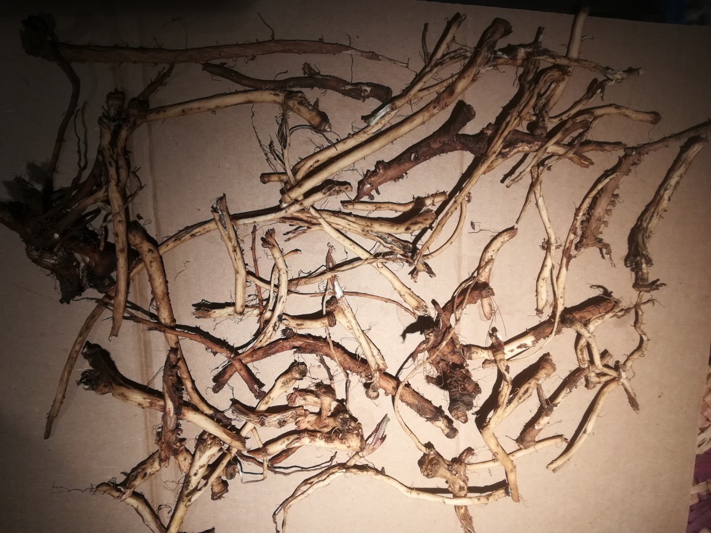Dandelion Root & Vanilla - Image 3