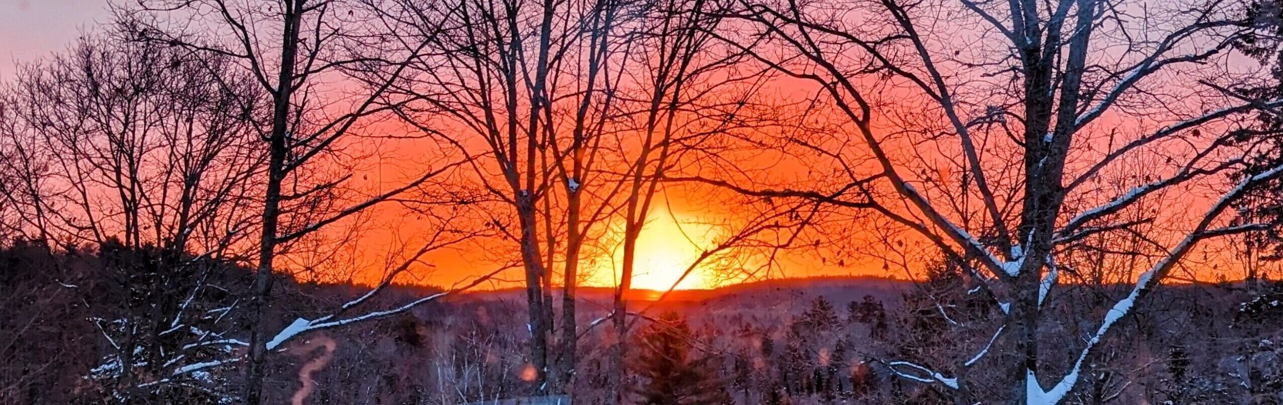 Pure. Raw. Mountain Honey